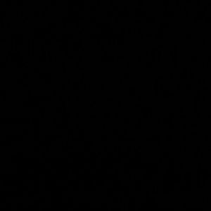 Meet your Posher, Esmeralda