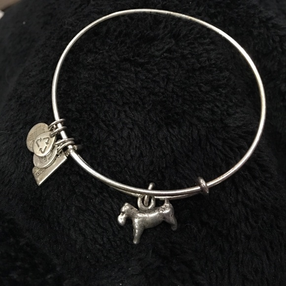 Alex and Ani Bracelet - Picture 1 of 1