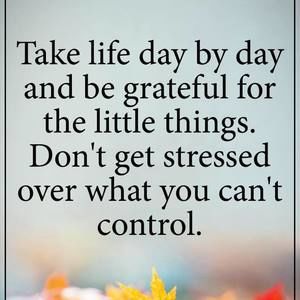 Meet your Posher, Judy