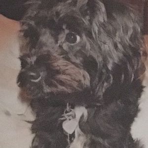 Meet your Posher, Casi