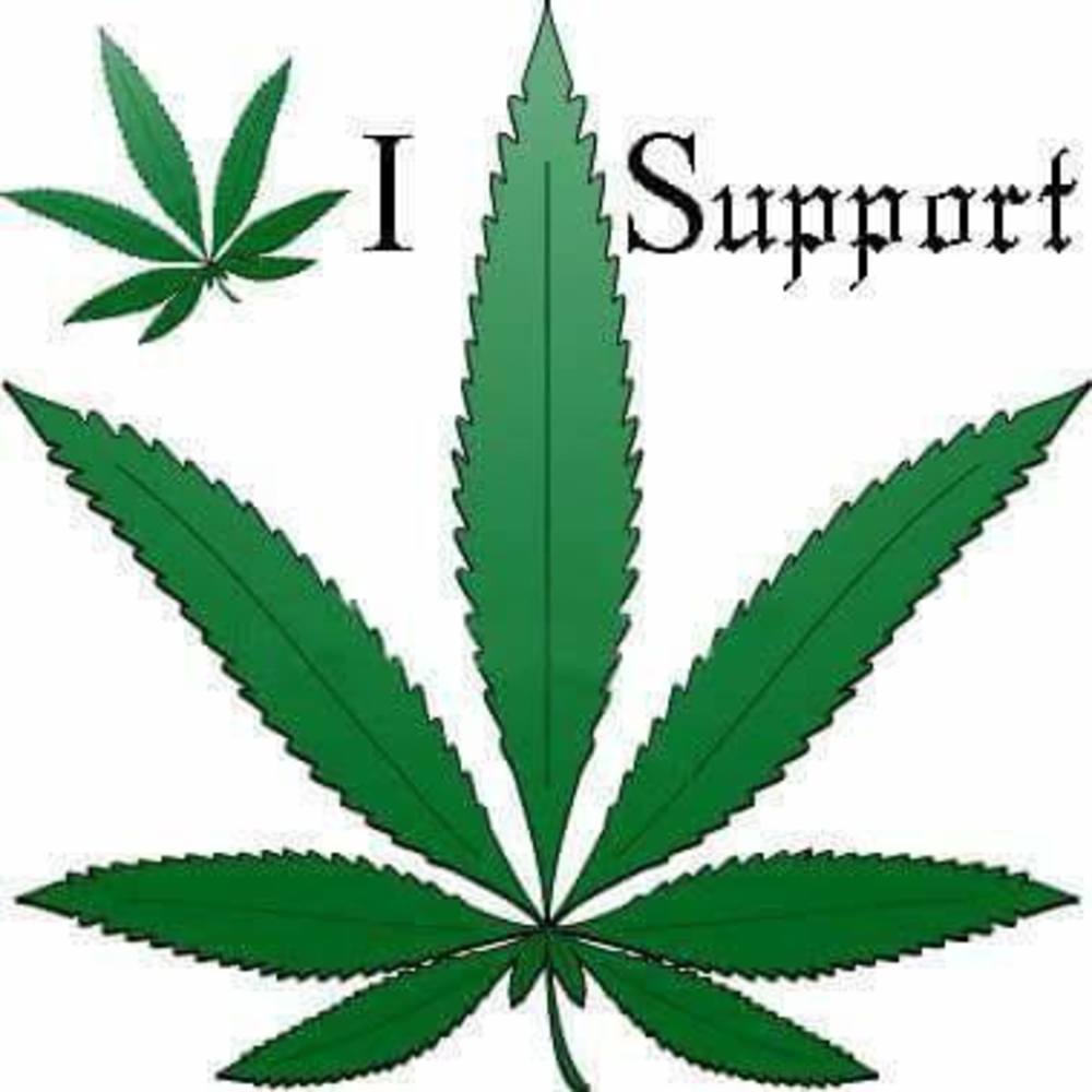 Meet your Posher, Carlotta