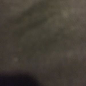 Meet your Posher, Damien