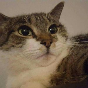 Meet your Posher, Christy