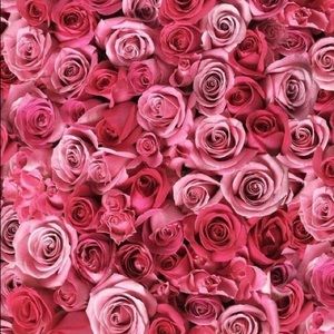 Meet your Posher, Jayla