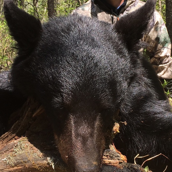 Meet your Posher, Dylan - Picture 1 of 1