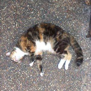 Meet your Posher, Nancy