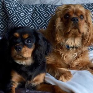 Meet your Posher, Michele