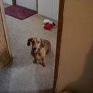 Meet your Posher, Ladonna