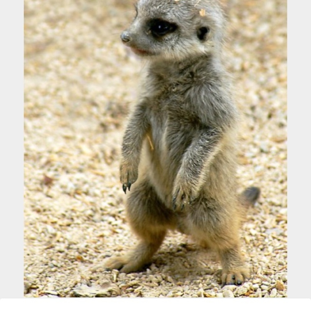 Meet your Posher, Kathy