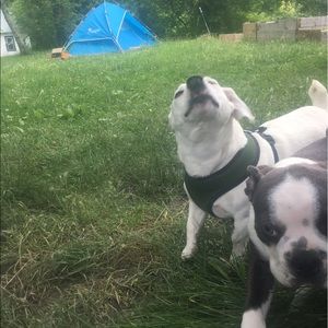 Meet your Posher, Yarrow