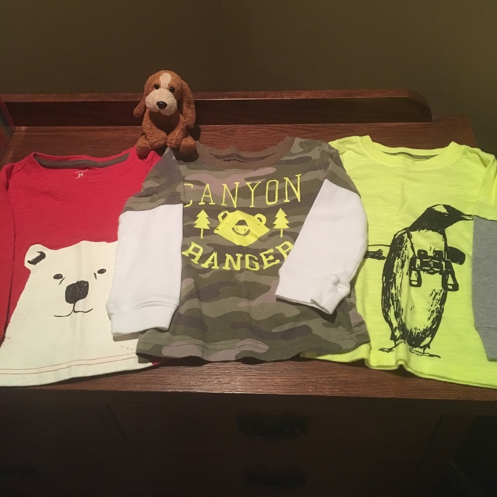 Carter's 24 month long sleeved Tee Bundle