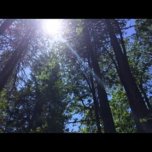 Meet your Posher, Alina