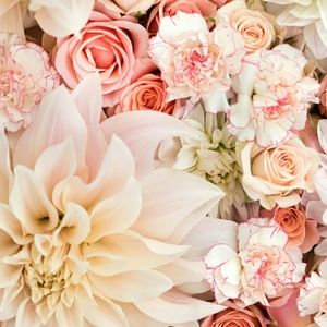 Meet your Posher, Karly