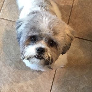 Meet your Posher, Diane