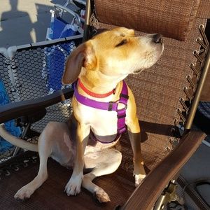 Meet your Posher, Tammy