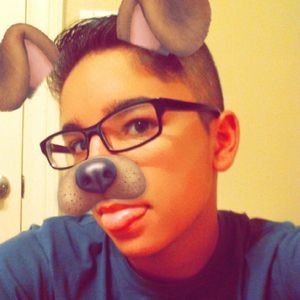 Meet your Posher, Leo