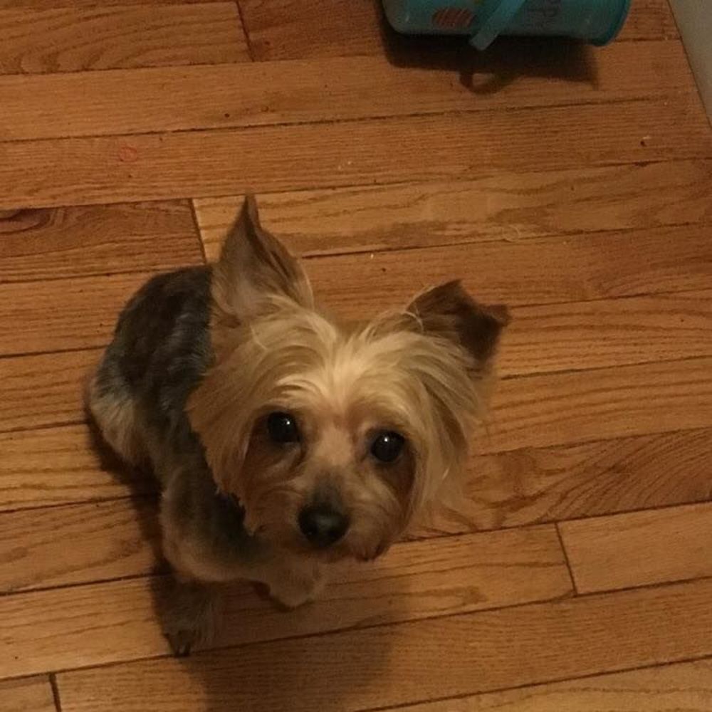 Meet your Posher, Zina