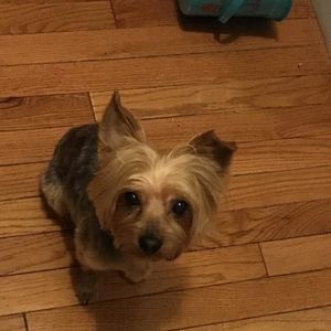 Meet your Posher, Zina