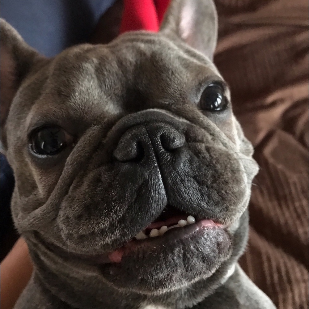 Meet your Posher, Claudia