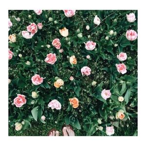 Meet your Posher, Annika