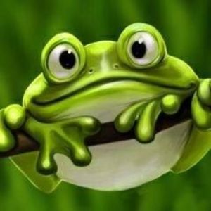 Meet your Posher, Barbara