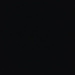 Meet your Posher, Elijah