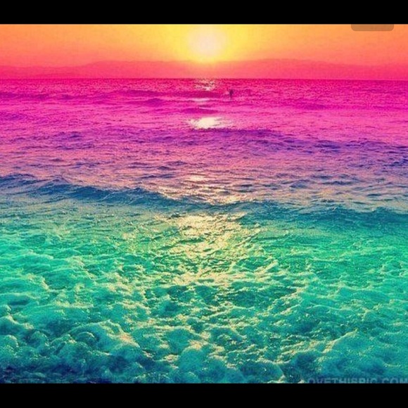 Meet your Posher, Heidi - Picture 1 of 1