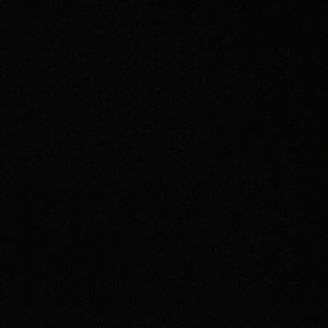 Meet your Posher, Alondra