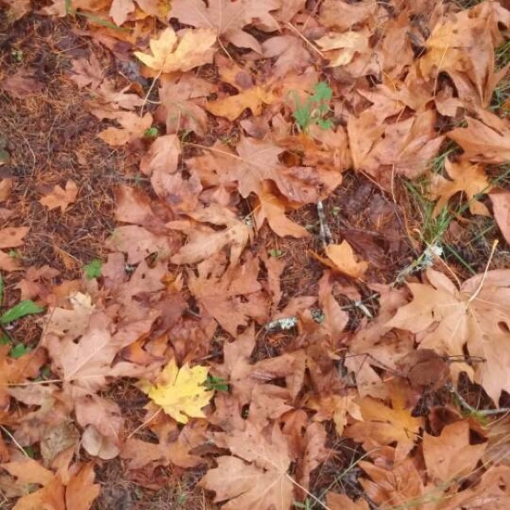 Meet your Posher, Hanna