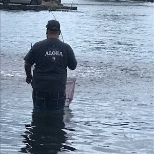 Meet your Posher, Garyn