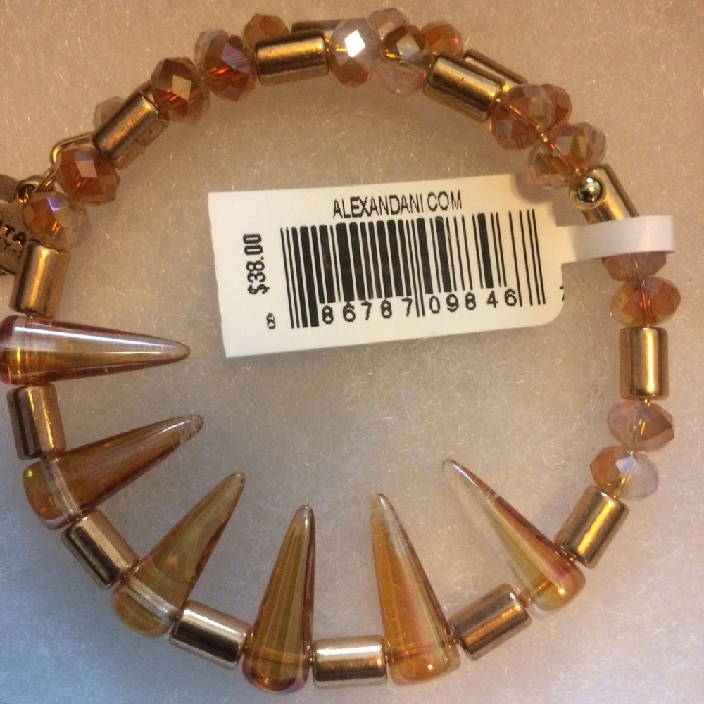 NWT Alex and Ani bracelet