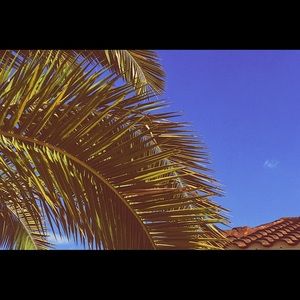 Meet your Posher, Monica