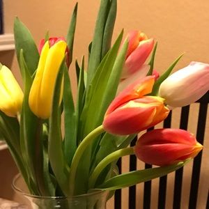 Meet your Posher, Saniya