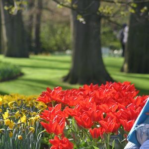 Meet your Posher, Etsuko