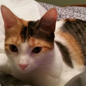 Meet your Posher, Jan