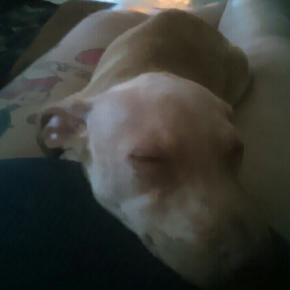 Meet your Posher, Brittany