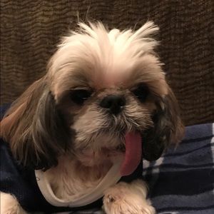 Meet your Posher, Victoria