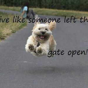 Meet your Posher, Patti