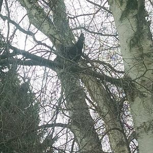 Meet your Posher, Shauna