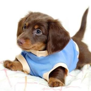 Meet your Posher, Janette