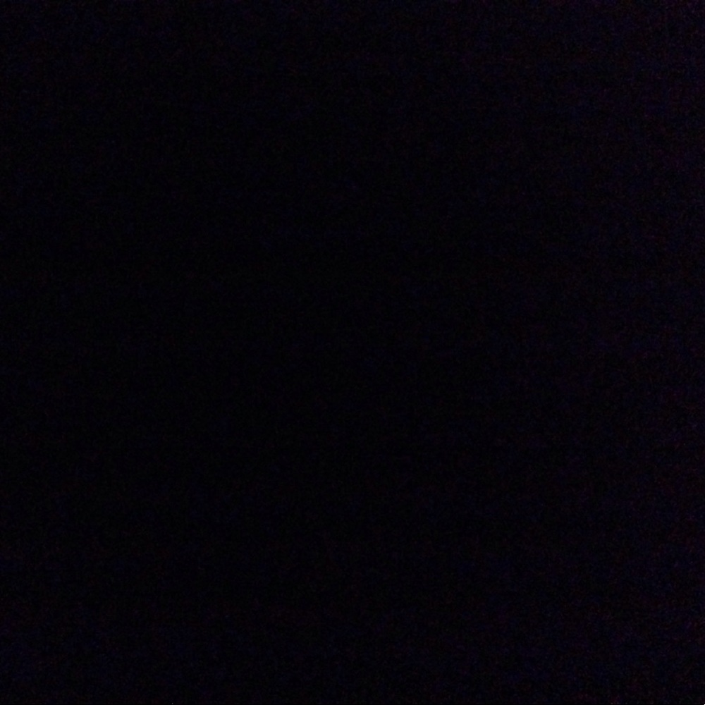 Meet your Posher, Bailey