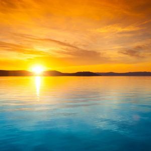 Meet your Posher, Sunshine