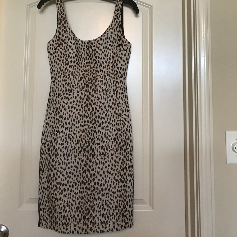 Diane Von Furstenberg Arianna leopard print dress