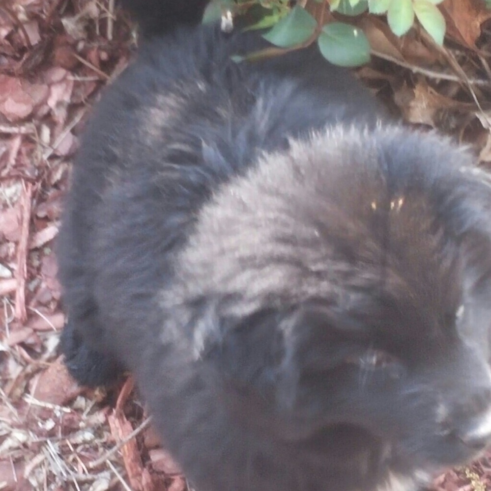 Meet your Posher, Lavanda