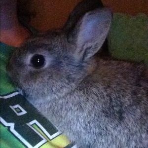 Meet your Posher, Grace