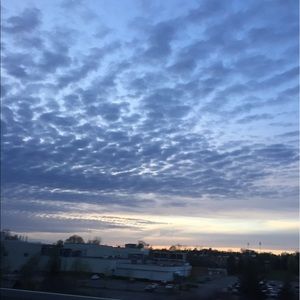 Meet your Posher, Priscila