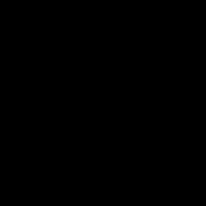 Meet your Posher, Shay