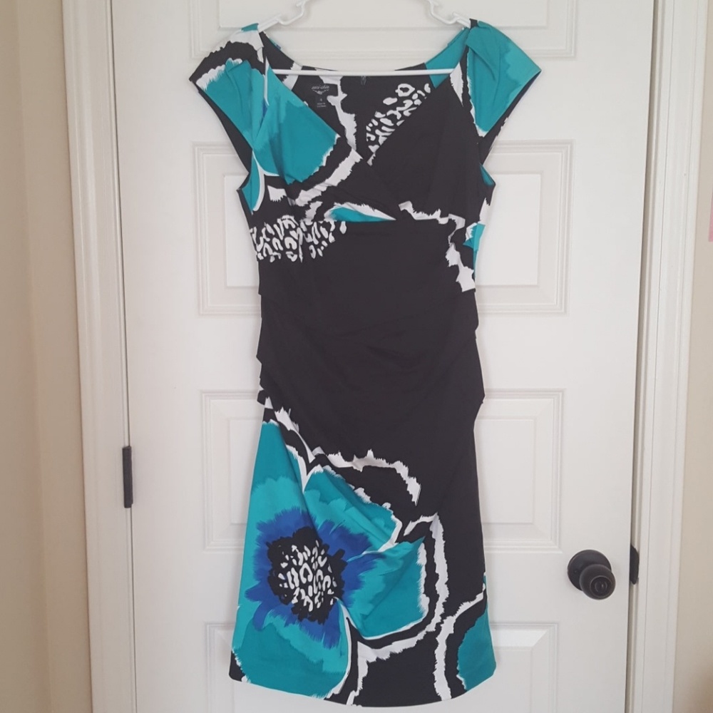 Suzi Chin Dress