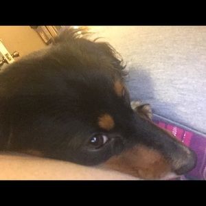 Meet your Posher, Erin