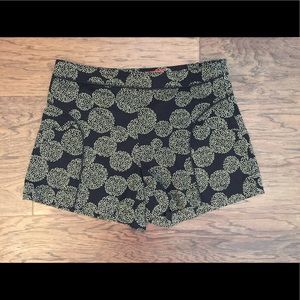 Anthropologie black and cream shorts